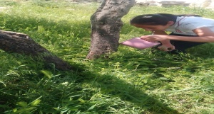 Bitki Bakımı ve Çevre Bilinci Geliştirme