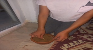 Bitki Bakımı ve Çevre Bilinci Geliştirme