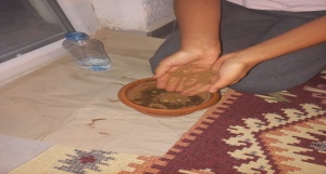 Bitki Bakımı ve Çevre Bilinci Geliştirme