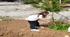 Bitki Bakımı ve Çevre Bilinci Geliştirme