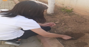 Bitki Bakımı ve Çevre Bilinci Geliştirme
