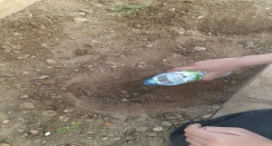 Bitki Bakımı ve Çevre Bilinci Geliştirme