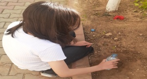 Bitki Bakımı ve Çevre Bilinci Geliştirme