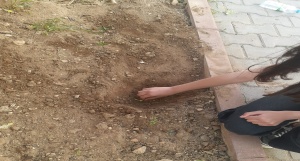 Bitki Bakımı ve Çevre Bilinci Geliştirme