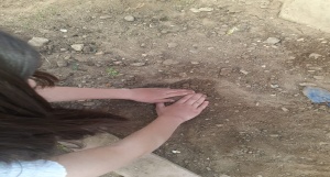 Bitki Bakımı ve Çevre Bilinci Geliştirme