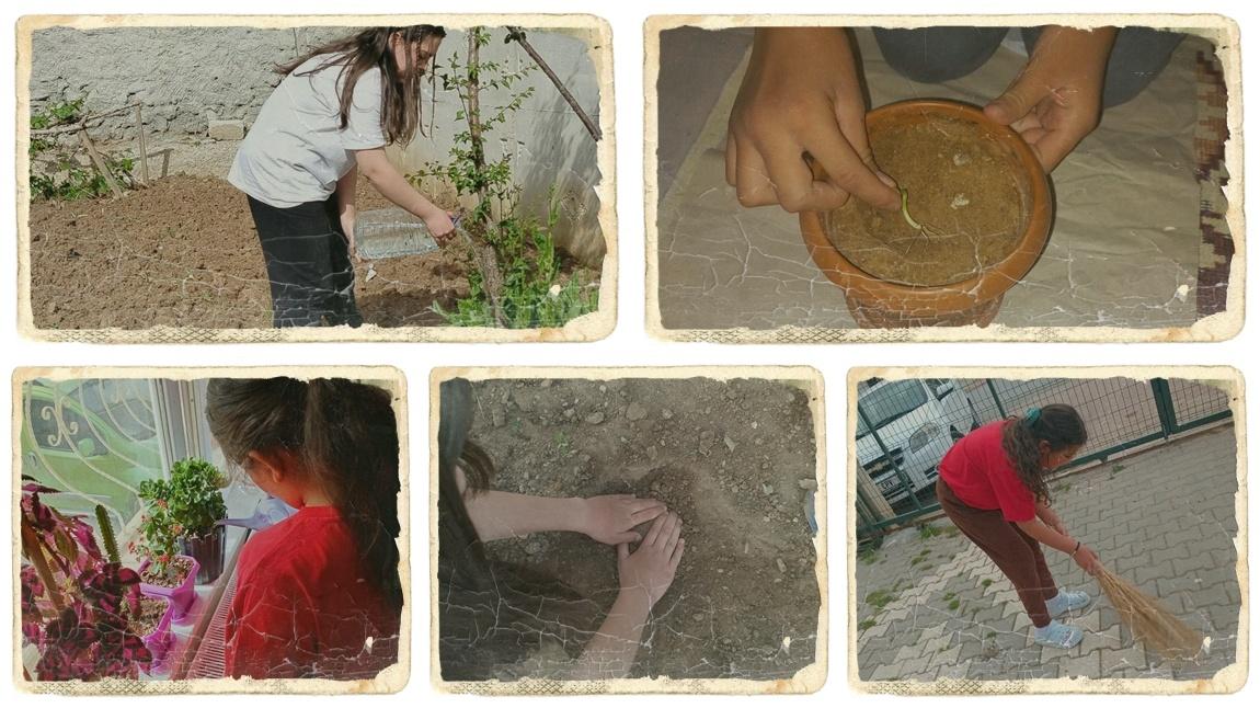 ÖĞRENCİLERİMİZE BİTKİ BAKIMI VE ÇEVRE BİLİNCİ KAZANDIRMAK AMACIYLA ÇEŞİTLİ ETKİNLİKLER YAPTIK